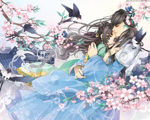 铁牛tv地址一地址二